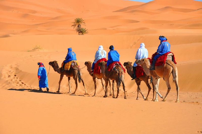 marrakech merzouga desert